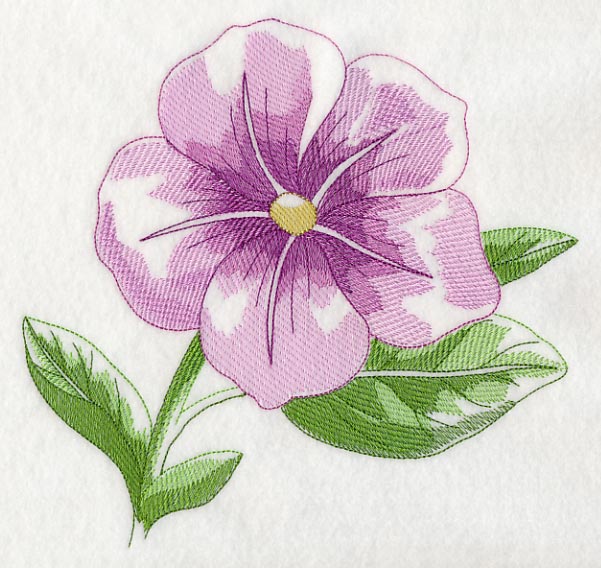 Petunia Beauty - Image 6