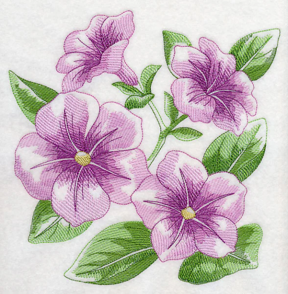 Petunia Sketch