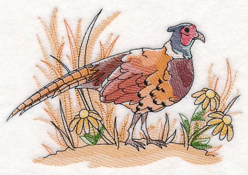 Pheasant Sketch - Image 4