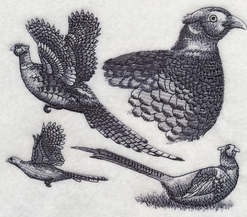 Pheasant Sketch - Image 3