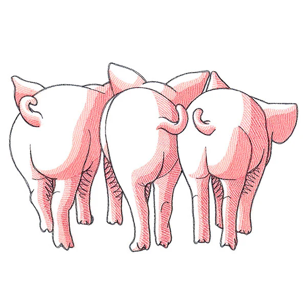 Pig Trio - Back - Image 5