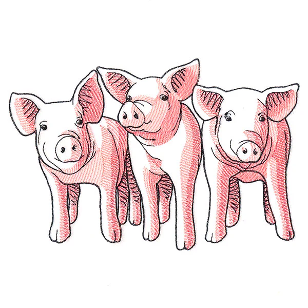 Pig Trio - Front - Image 3