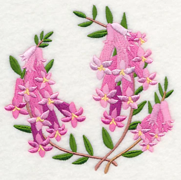 Pink Heath - Image 4