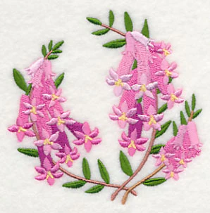 Pink Heath - Image 5