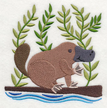 Platypus in the Wild - Image 4