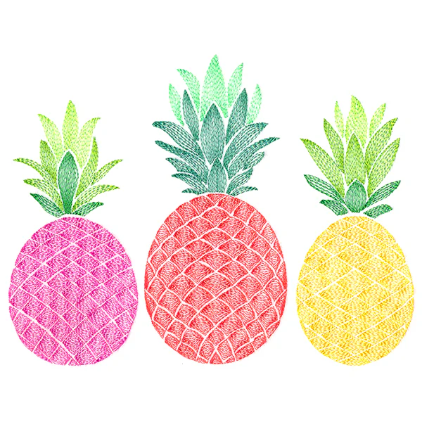 Pleasant Pineapple Trio - Image 4