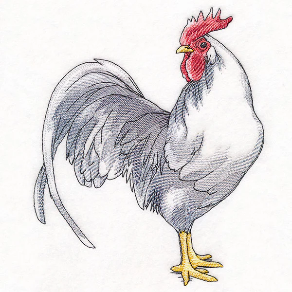 Plucky Country Chicken