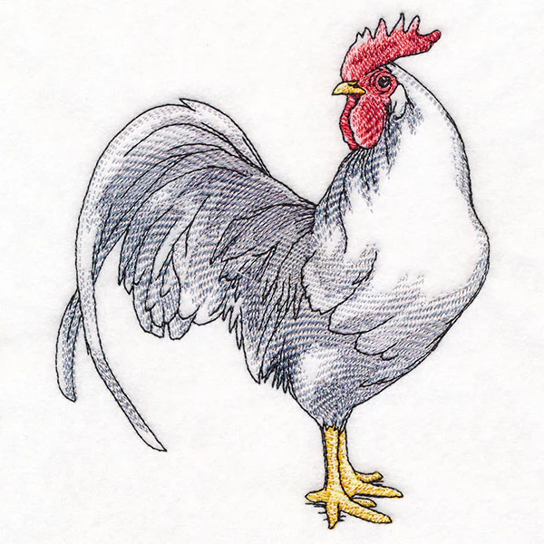 Plucky Country Chicken - Image 7