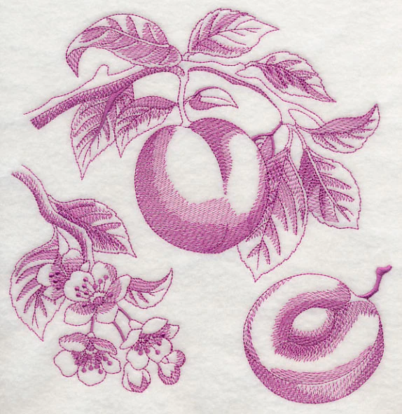 Plum Botanical (Toile) - Image 6