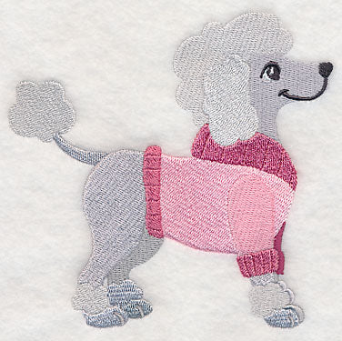 Poodle in Sweater - Image 3