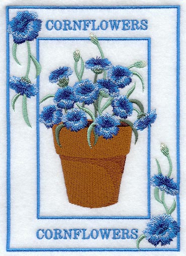 Potted Cornflowers Medley - Image 3