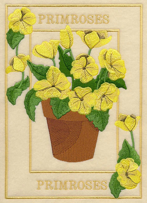 Potted Primroses Medley - Image 4