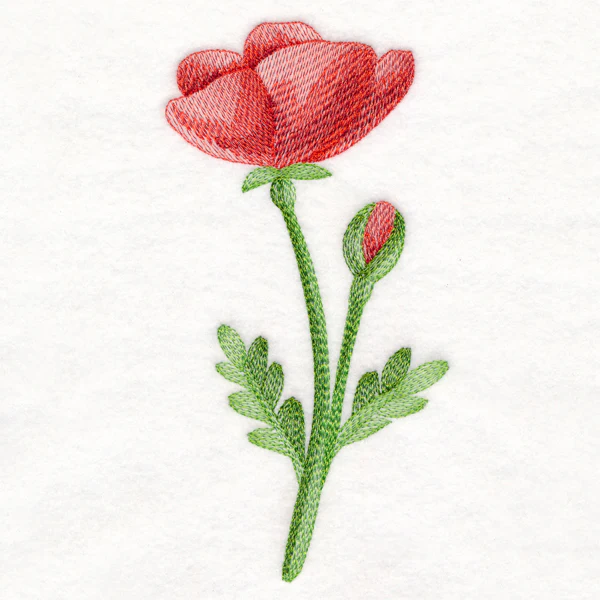 Precious Poppy in Watercolor - Image 2