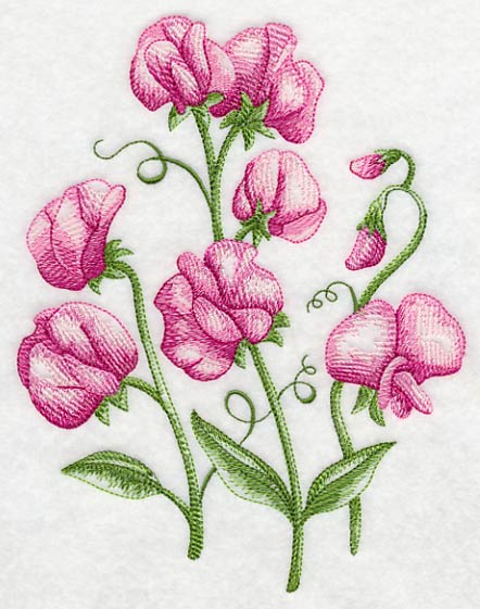 Pretty Little Sweet Peas 1 - Image 2