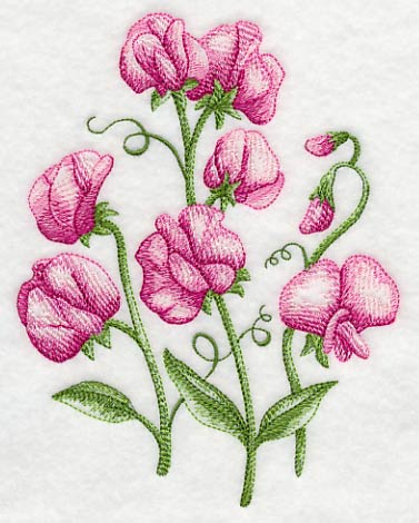 Pretty Little Sweet Peas 1 - Image 3