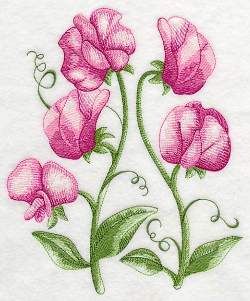 Pretty Little Sweet Peas 2 - Image 5