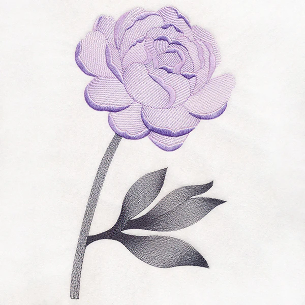 Pretty Peony