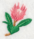 Protea Flower Bud 1 - Image 2