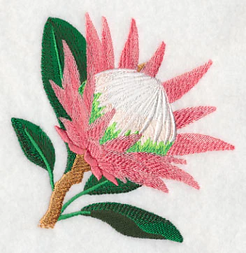 Protea Flower Single 1 - Image 3