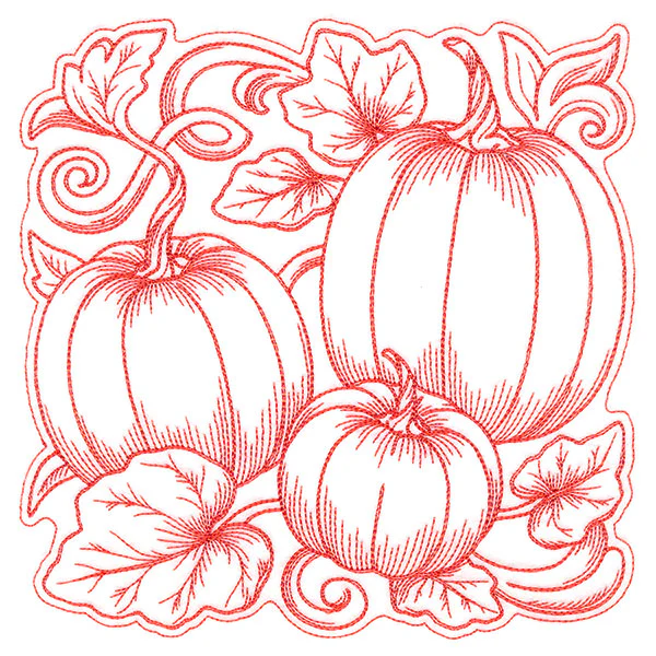 Pumpkin Patch in Autumn Square - Image 2