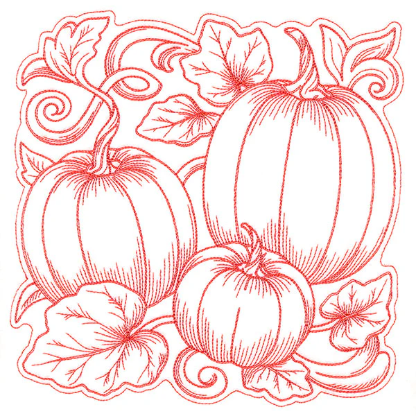 Pumpkin Patch in Autumn Square - Image 5