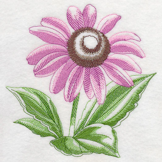 Purple Coneflower Beauty - Image 2