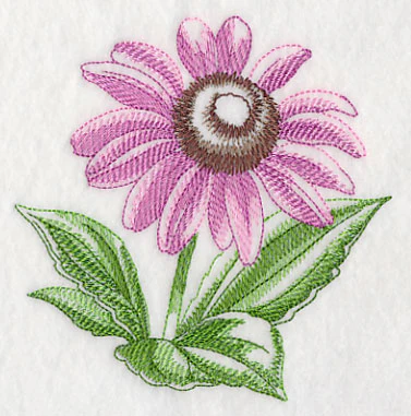 Purple Coneflower Beauty - Image 4