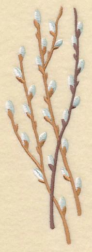 Pussy Willow Bunch 1 - Image 4