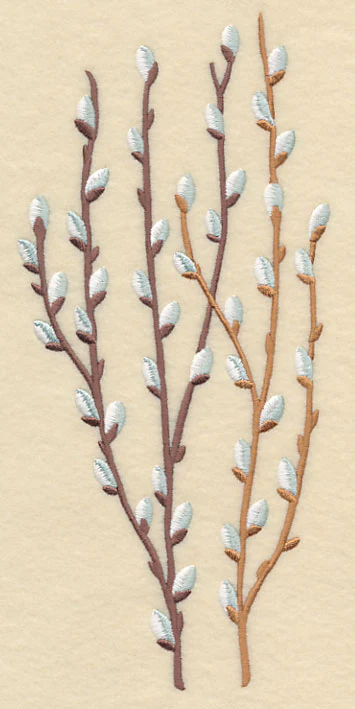 Pussy Willow Bunch 2 - Image 2