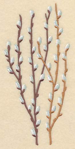 Pussy Willow Bunch 2 - Image 4