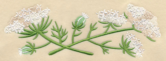 Queen Anne's Lace Border - Image 2