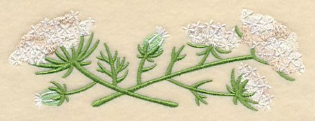 Queen Anne's Lace Border - Image 4