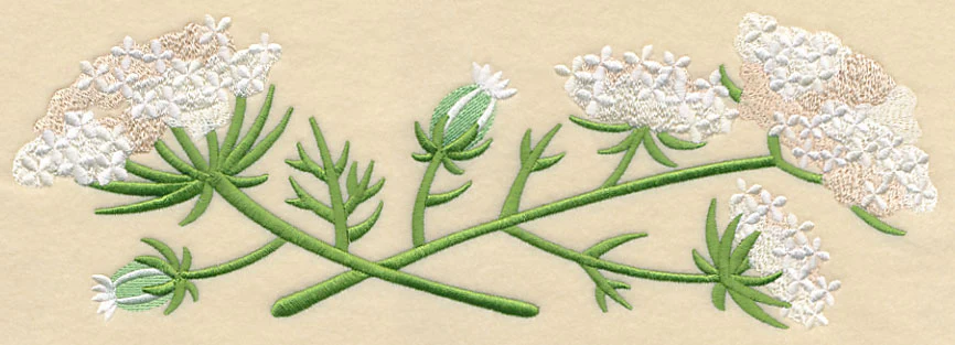 Queen Anne's Lace Border - Image 5