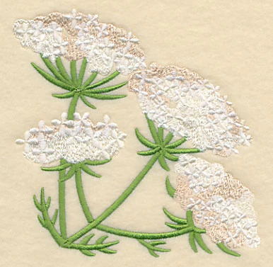 Queen Anne's Lace Corner - Image 2