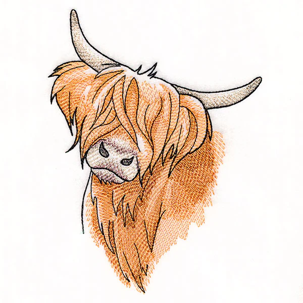 Quizzical and Cute Highland Cow - Image 3