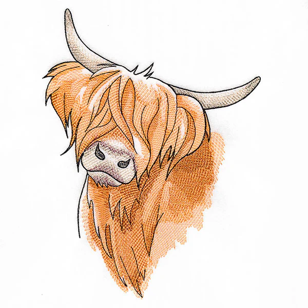 Quizzical and Cute Highland Cow - Image 4