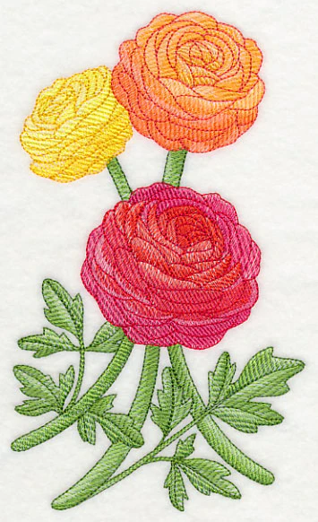 Radiant Ranunculus 1 - Image 3