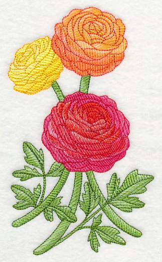 Radiant Ranunculus 1 - Image 4
