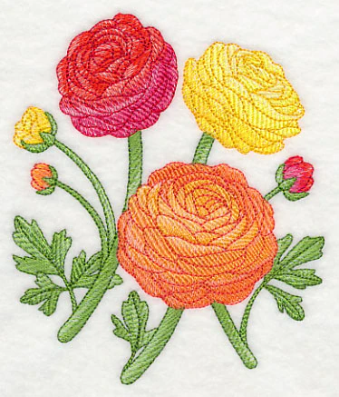 Radiant Ranunculus 2 - Image 4