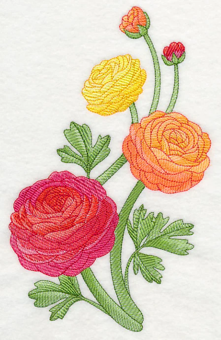 Radiant Ranunculus Spray - Image 2
