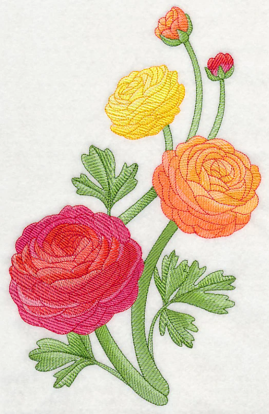 Radiant Ranunculus Spray - Image 5