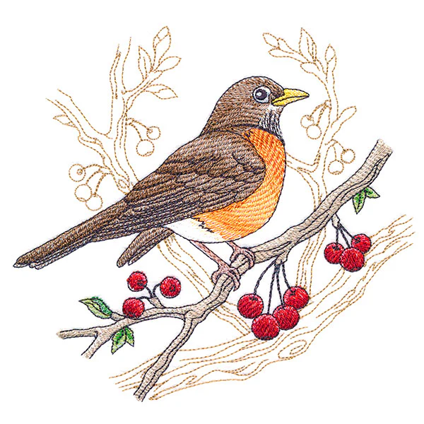 Radiant Robin Medley - Image 3