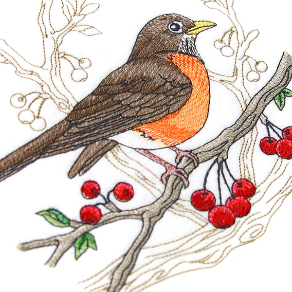 Radiant Robin Medley - Image 4