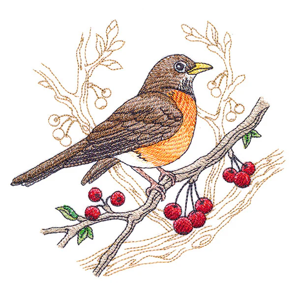 Radiant Robin Medley - Image 5