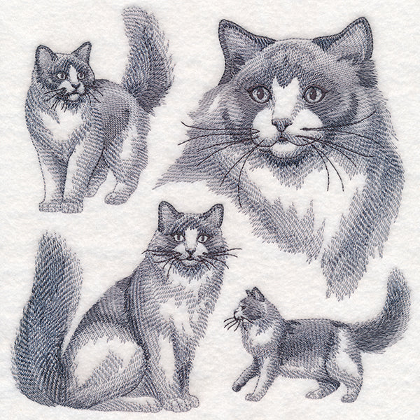 Ragdoll Cat Sketch - Image 5