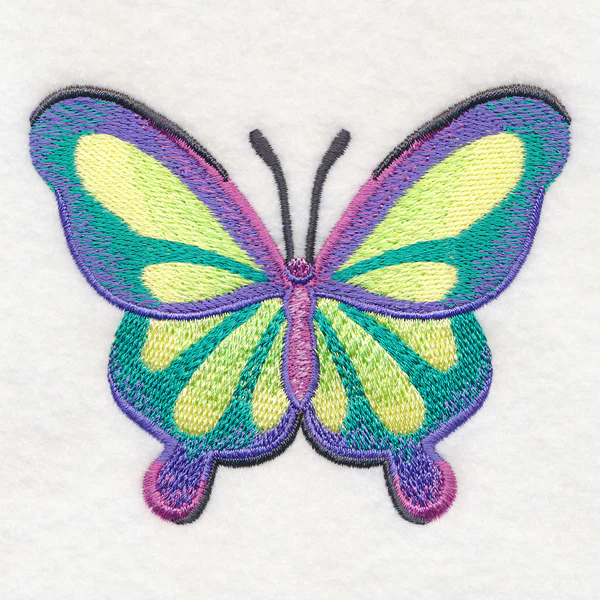 Rainbow Butterfly - Image 3