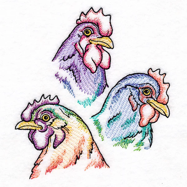 Rainbow Chicken Portrait - Image 5