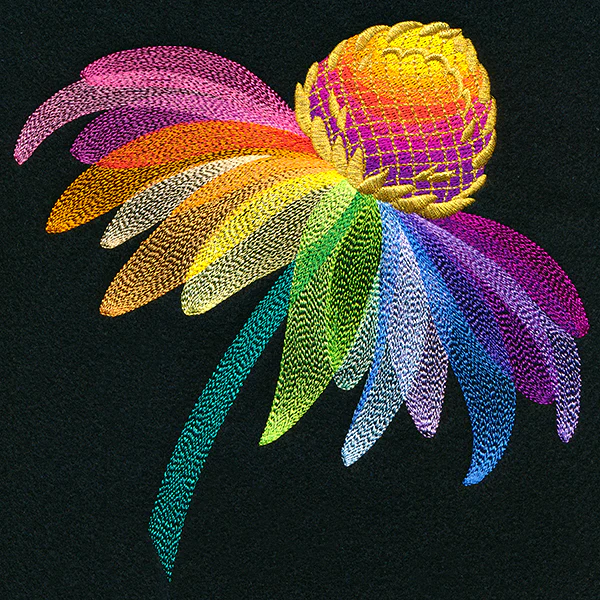 Rainbow Coneflower