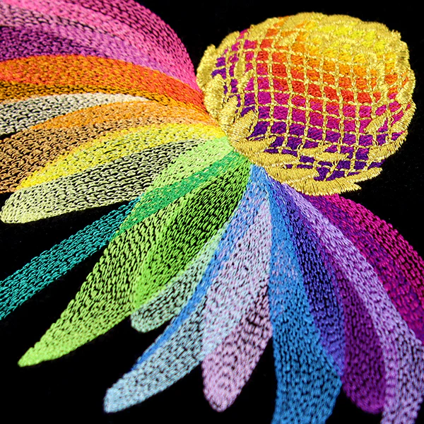 Rainbow Coneflower - Image 4
