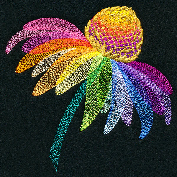 Rainbow Coneflower - Image 7